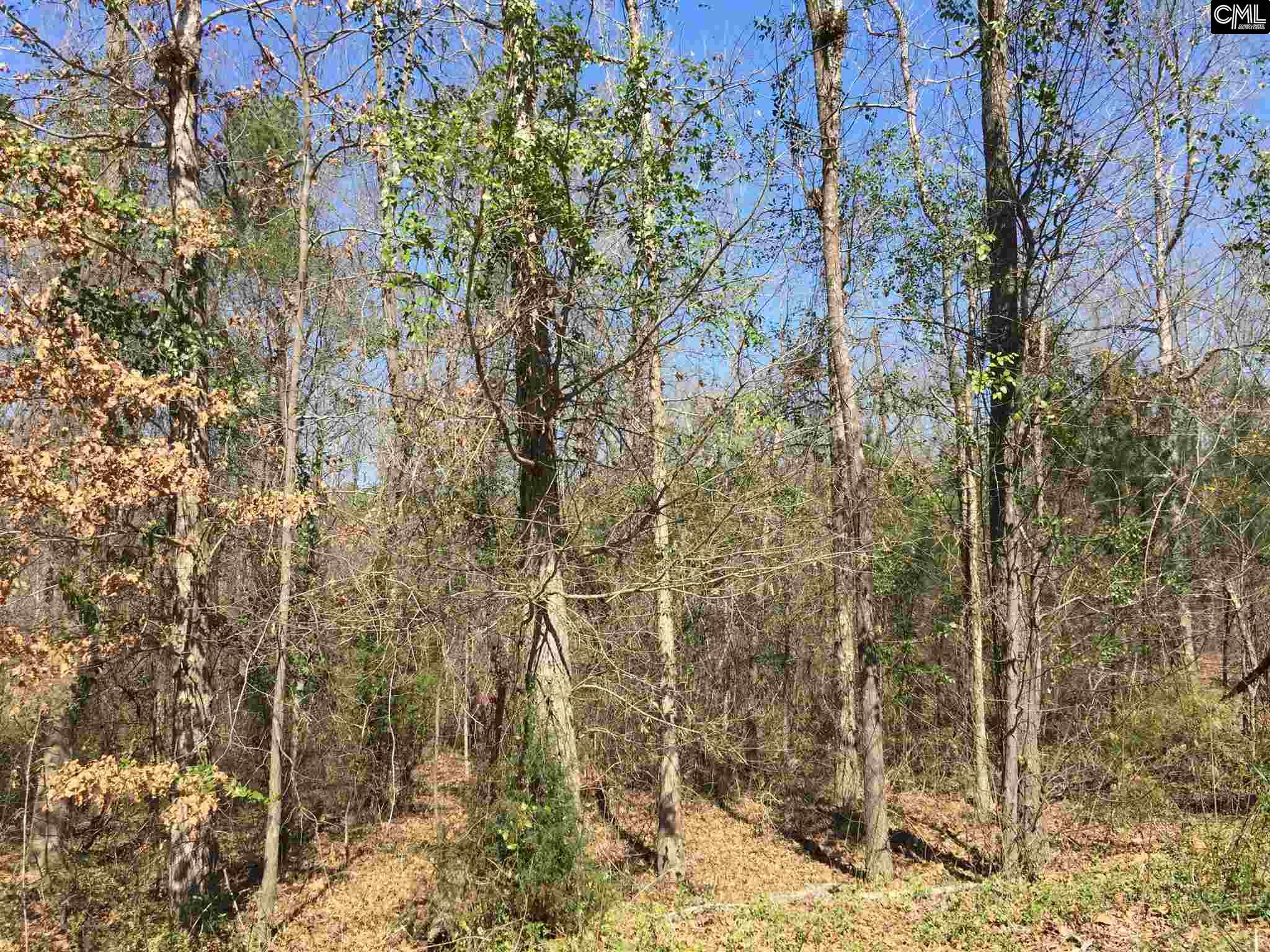 0 Mule Trail, Gilbert, SC 29054