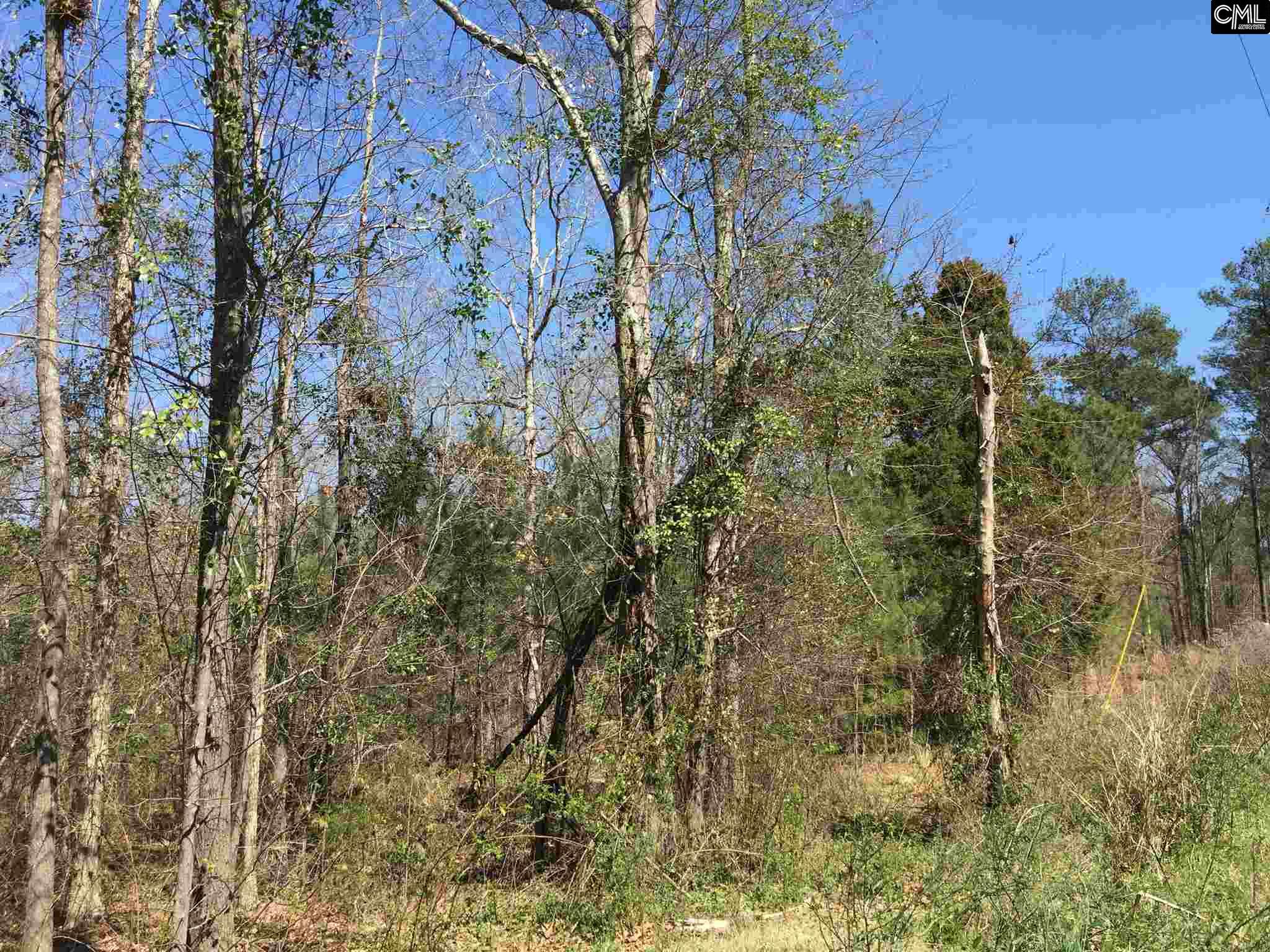 0 Mule Trail, Gilbert, SC 29054