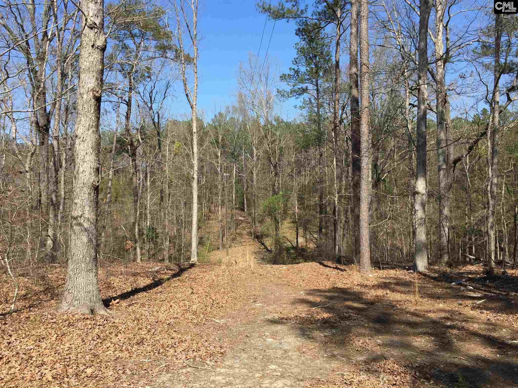 0 Mule Trail, Gilbert, SC 29054