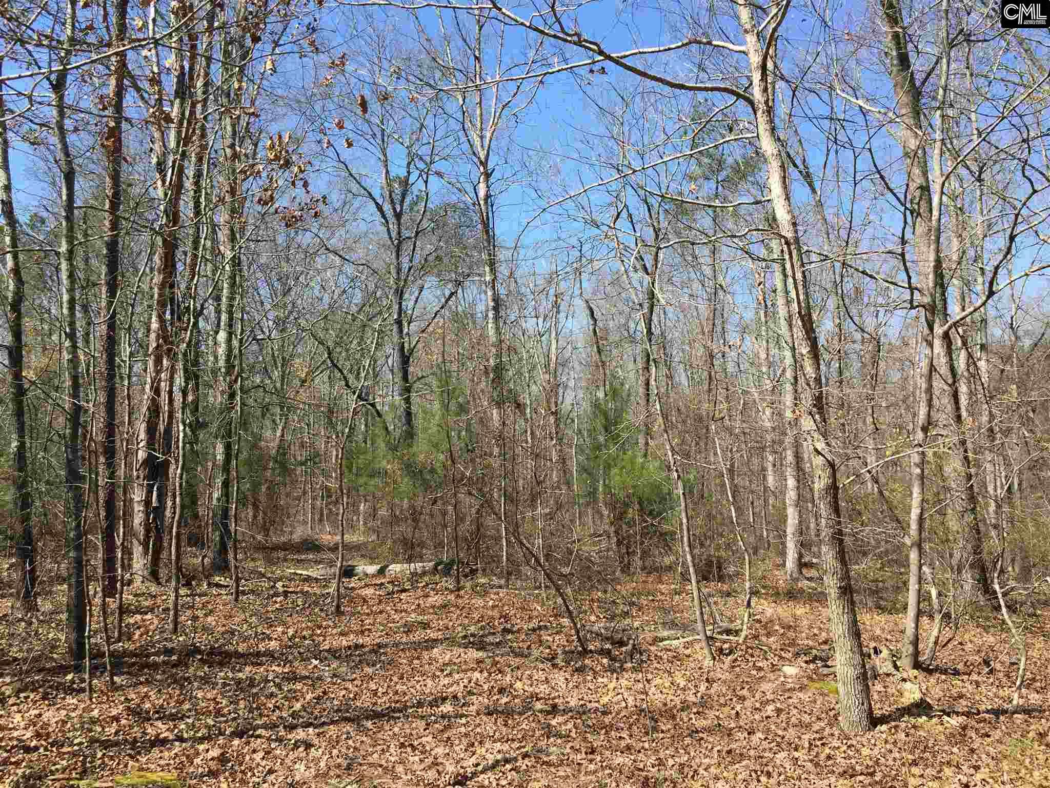 0 Mule Trail, Gilbert, SC 29054