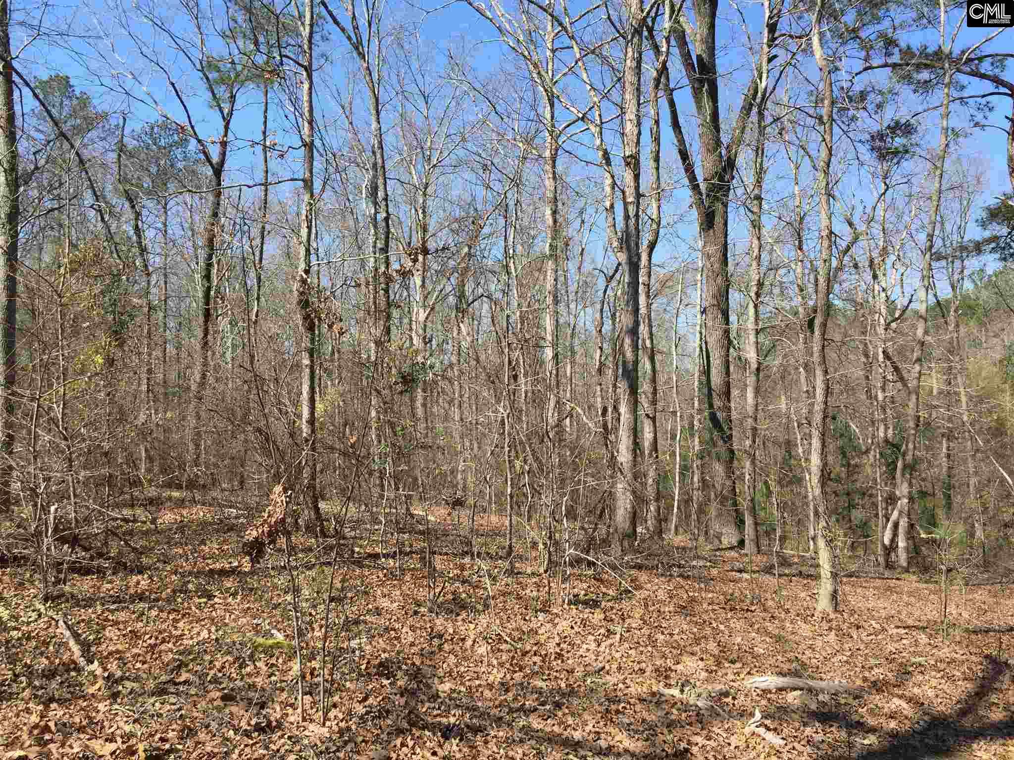 0 Mule Trail, Gilbert, SC 29054