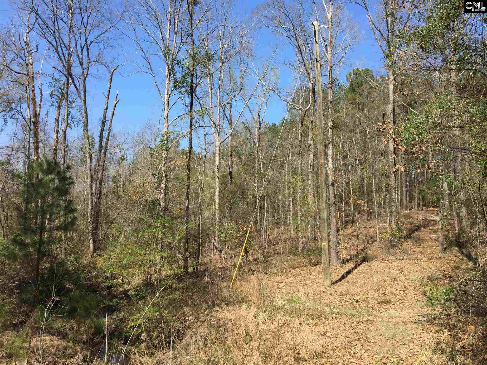 0 Mule Trail, Gilbert, SC 29054
