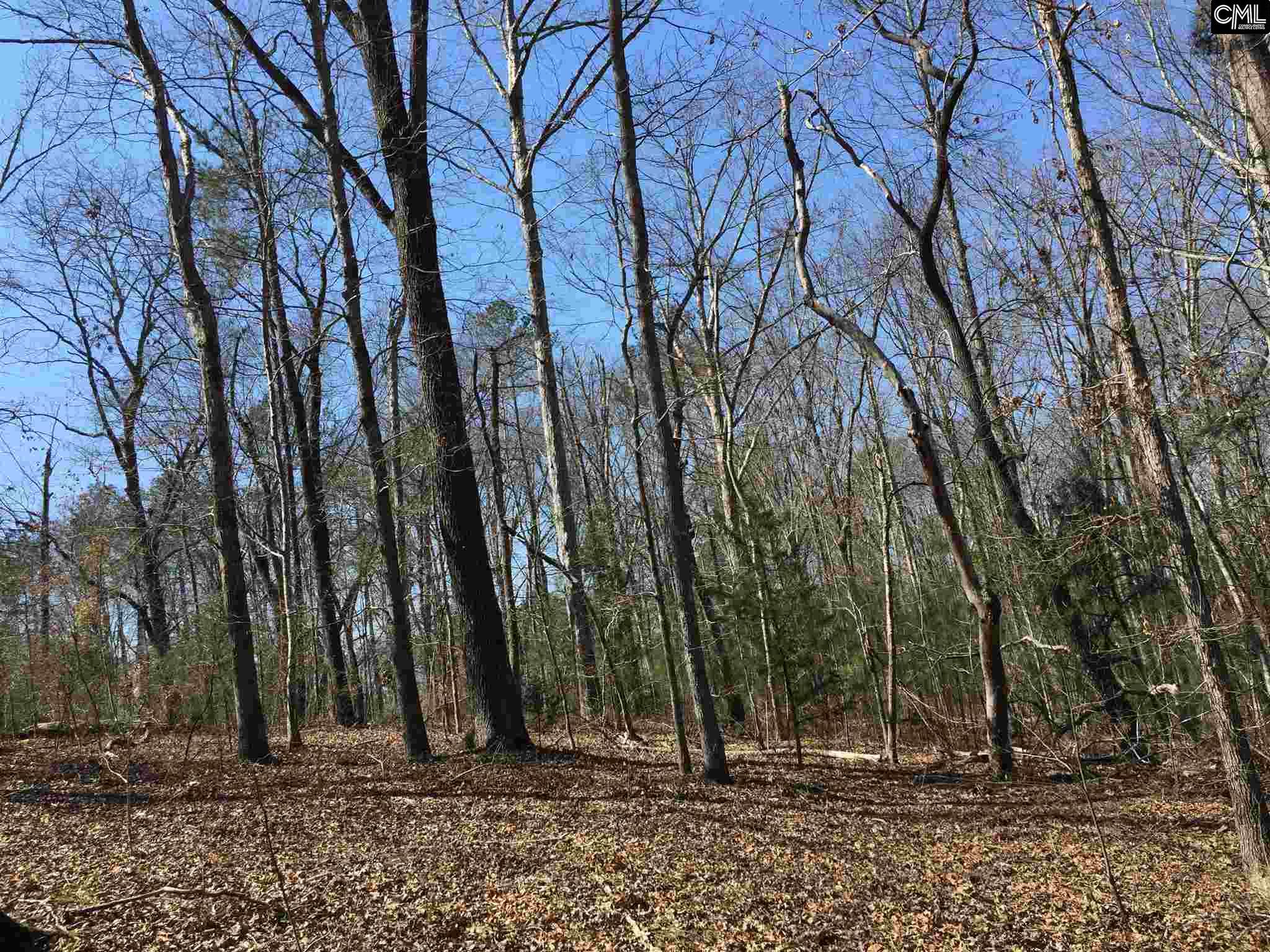 0 Mule Trail, Gilbert, SC 29054