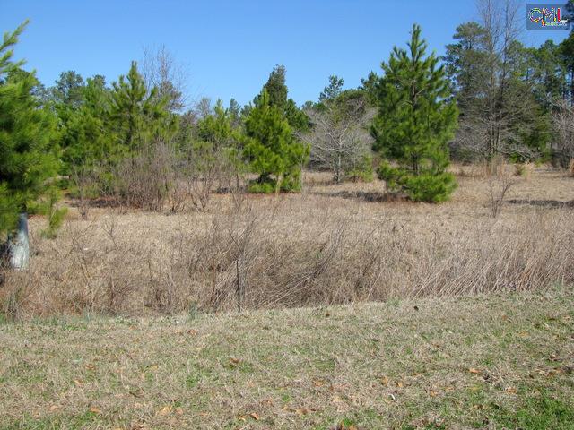 0 AUGUSTA HIGHWAY & SPOOL WHEEL Road, Gilbert, SC 29054