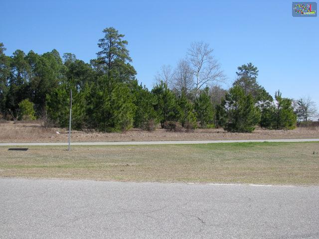 0 AUGUSTA HIGHWAY & SPOOL WHEEL Road, Gilbert, SC 29054