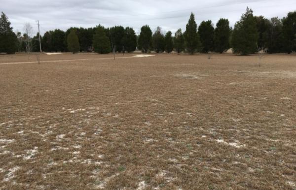 Cinder Hill ,SC, Gilbert, 29054