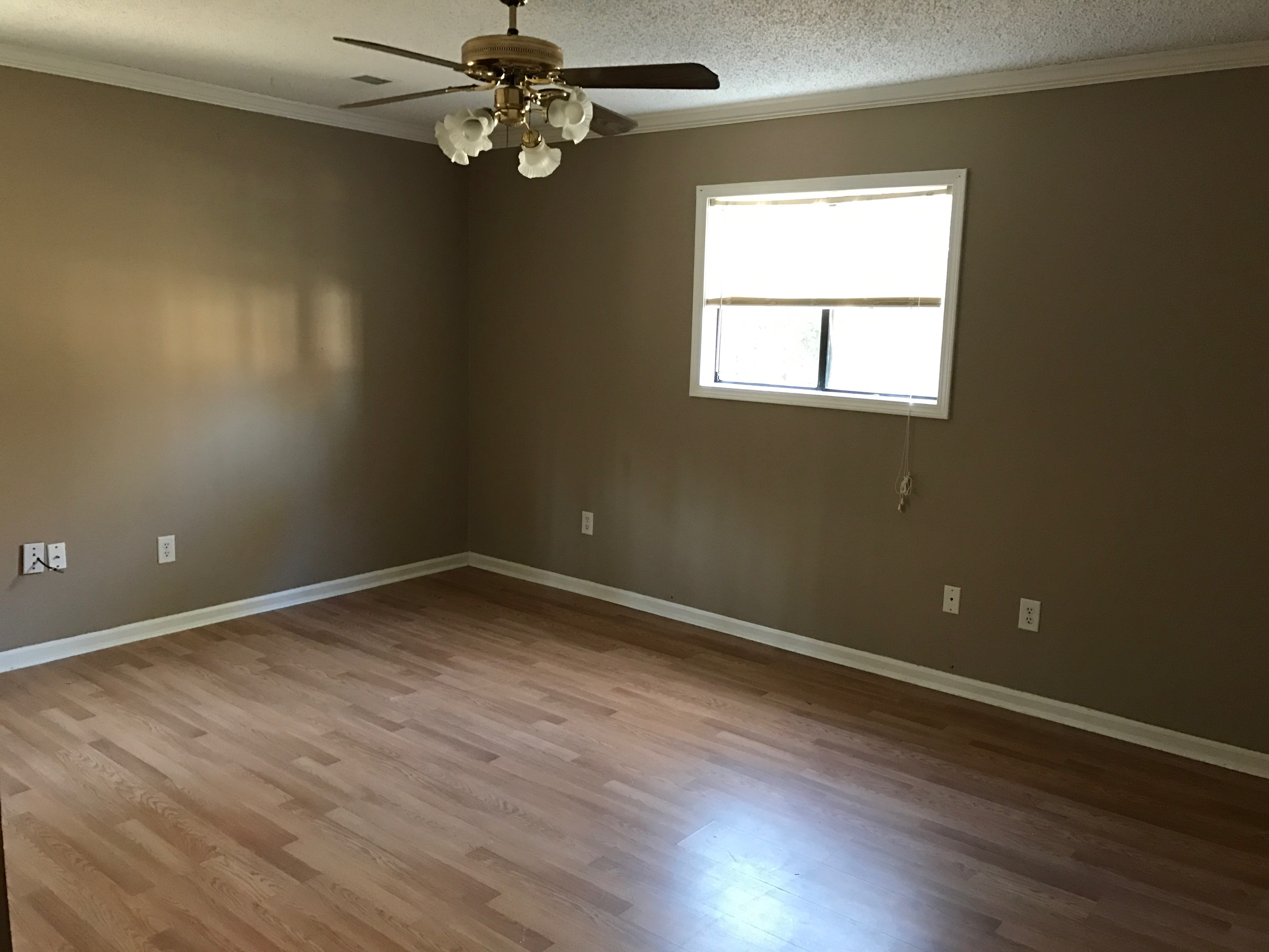 119 Chapelwhite RoaIrmo, SC, 29063Lexington County