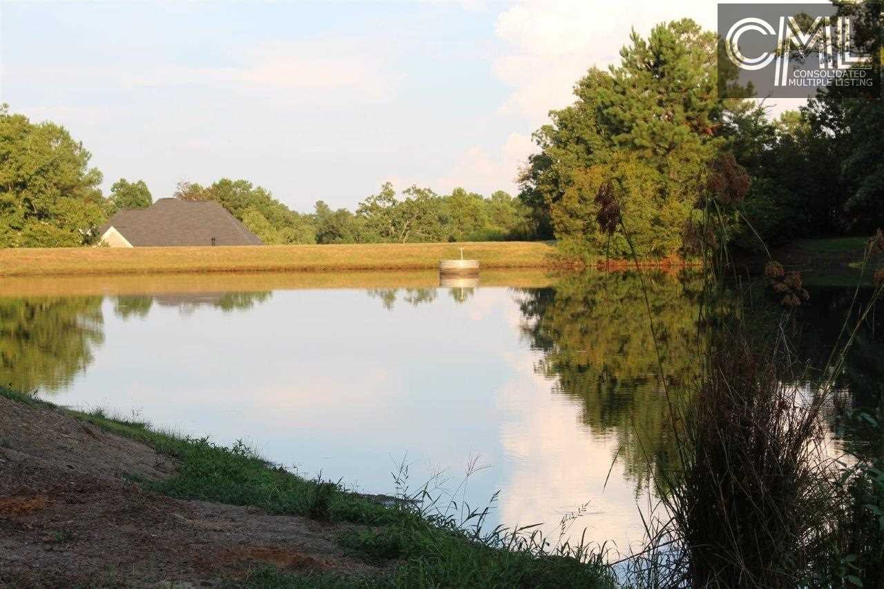 122 ASCOT RIDGE Road, Irmo, SC 29063