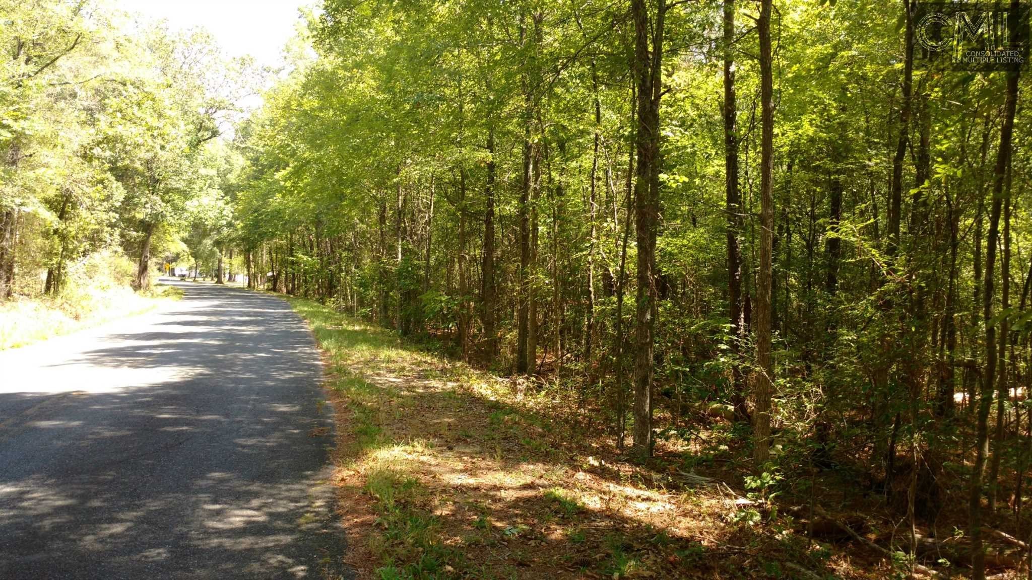 0 James Ballentine Road, Irmo, SC 29063