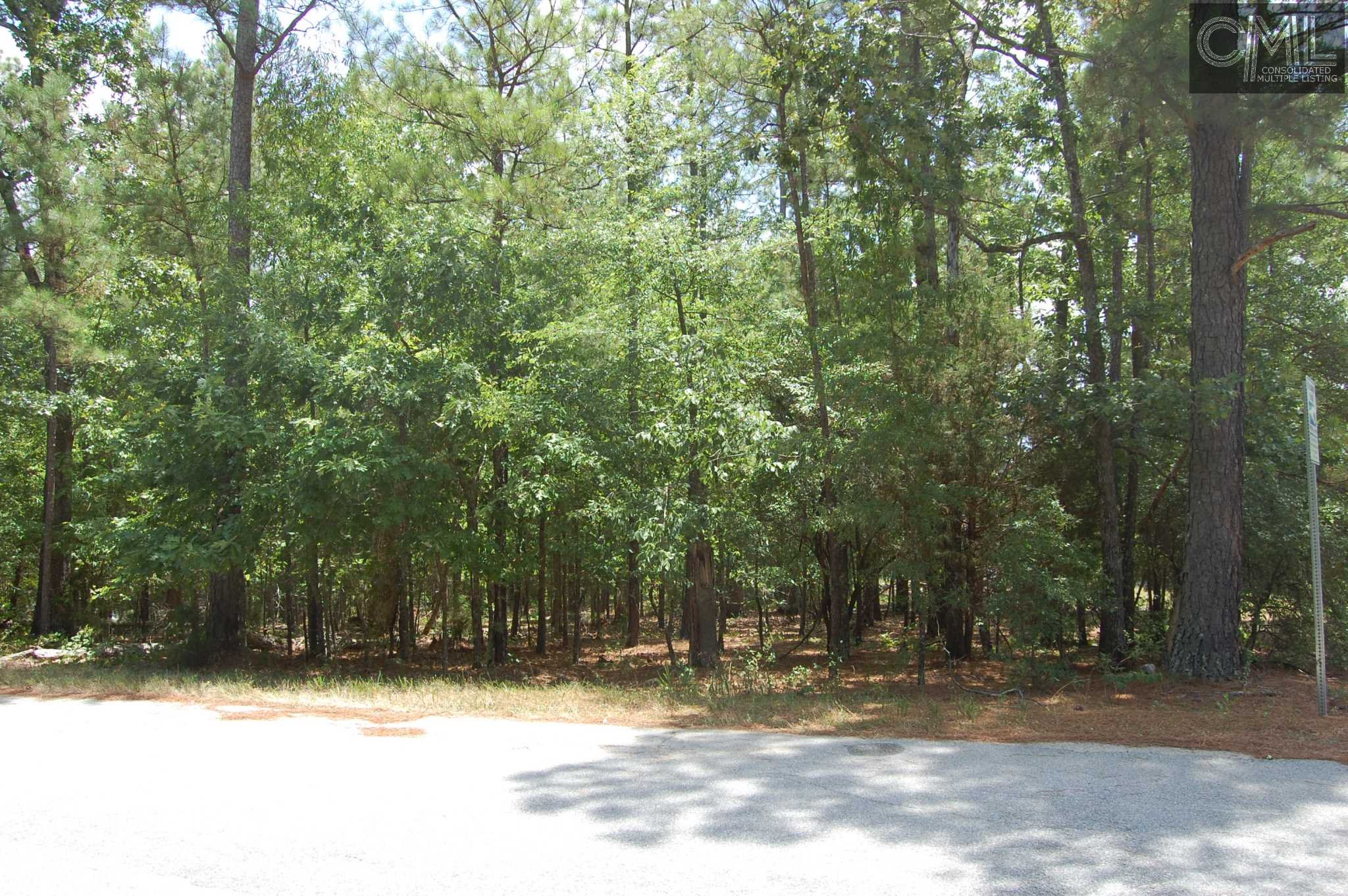 0 REBECCA Drive, Leesville, SC 29070