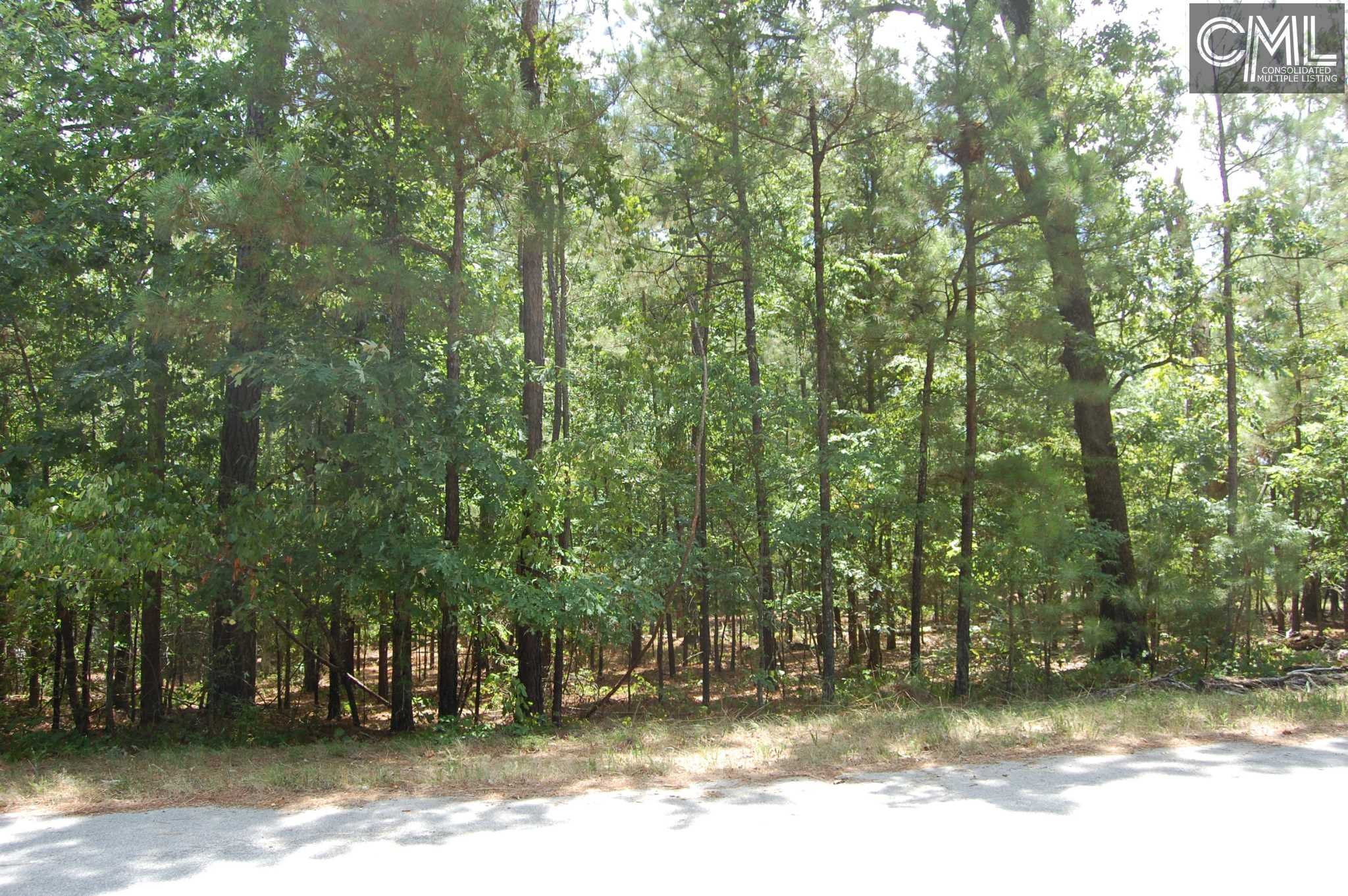 0 REBECCA Drive, Leesville, SC 29070