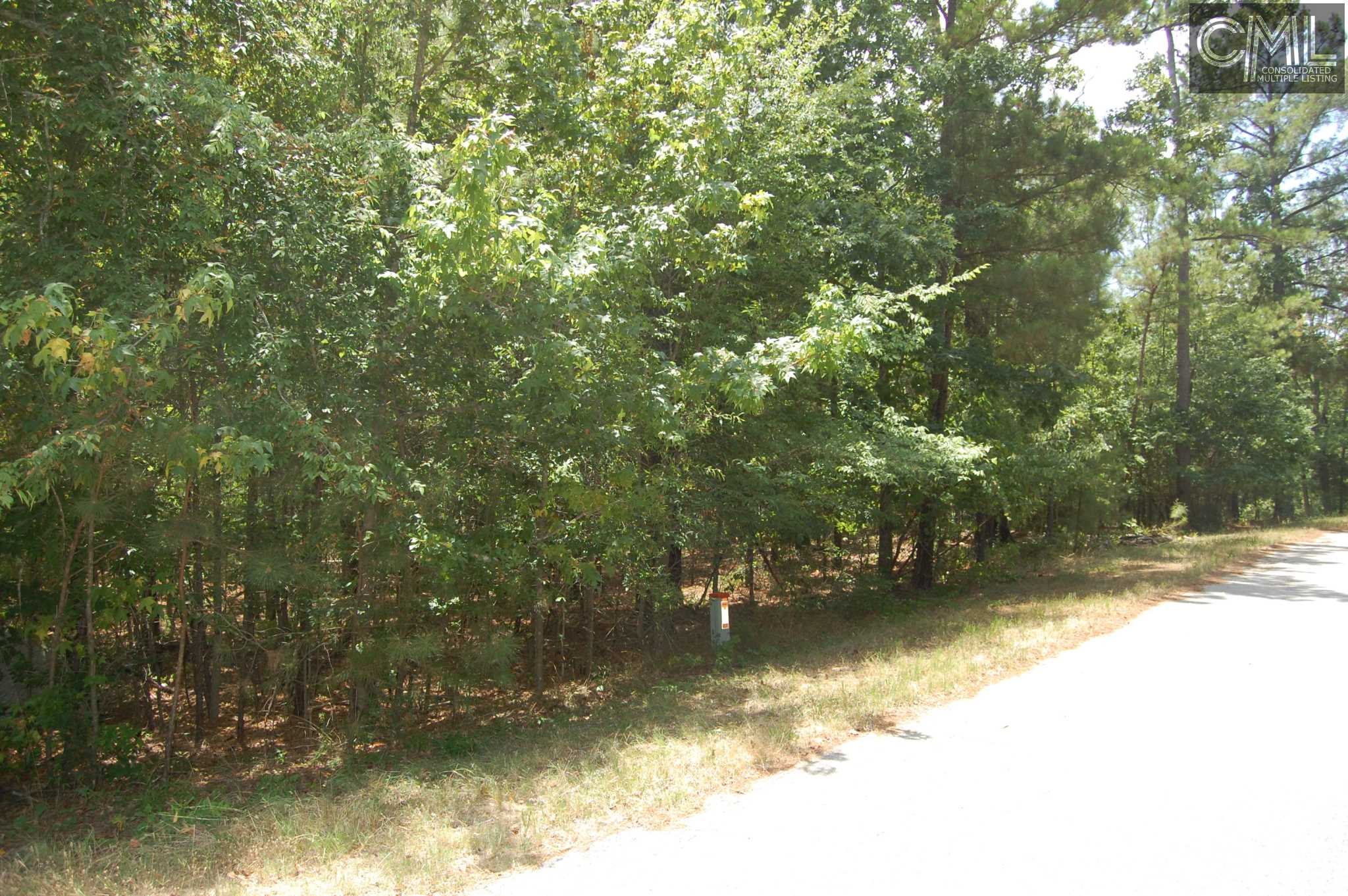 0 REBECCA Drive, Leesville, SC 29070
