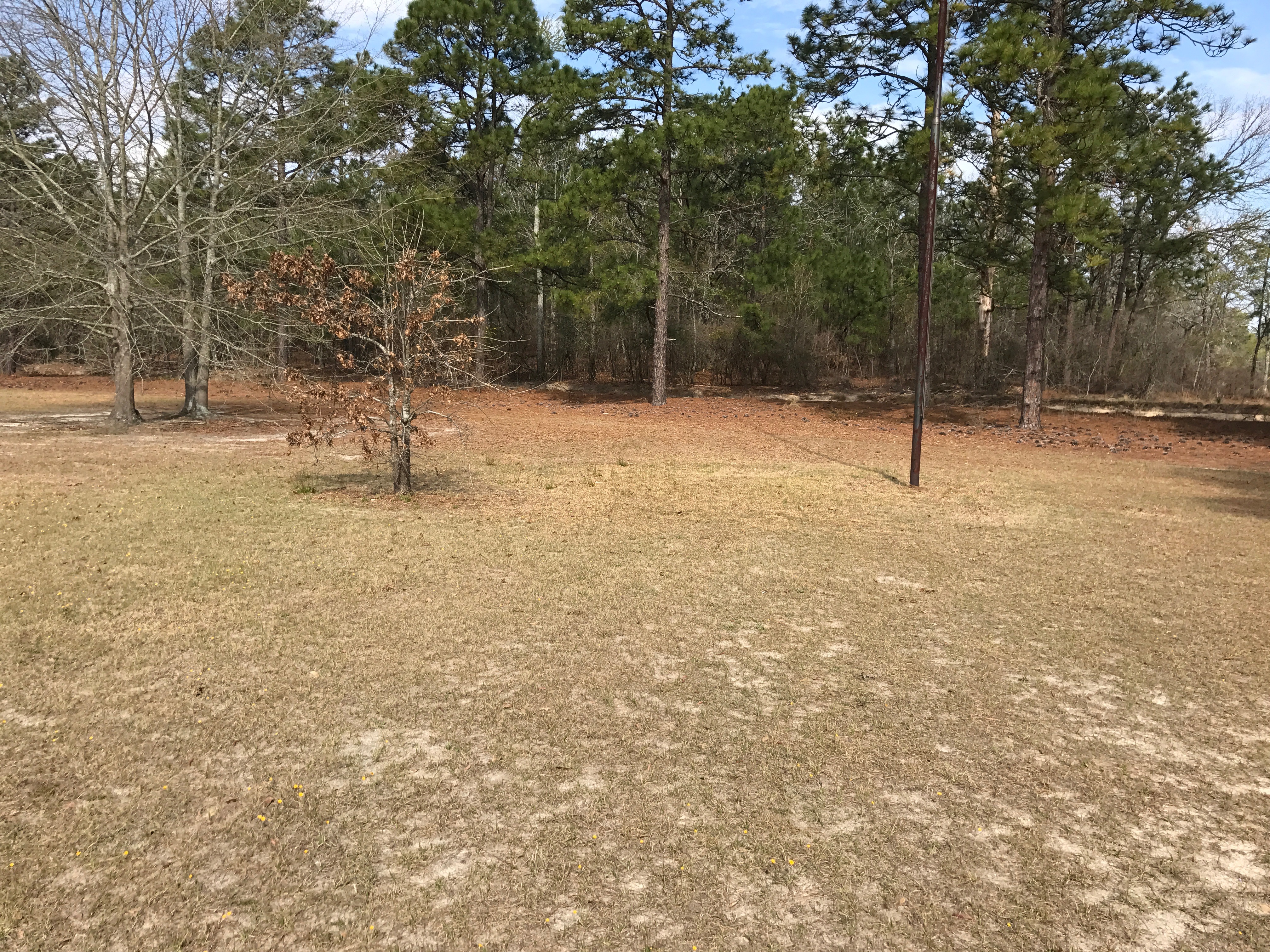 225 Felix DrLeesville, SC, 29070Lexington County