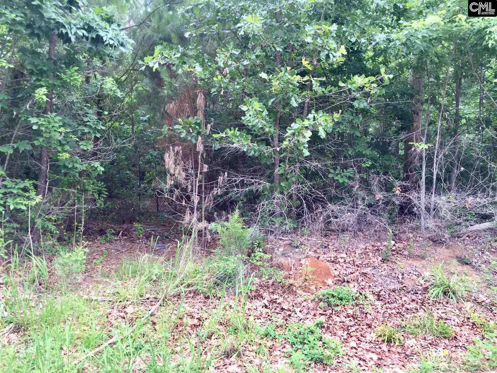 334 Horse Creek Road, Leesville, SC 29070