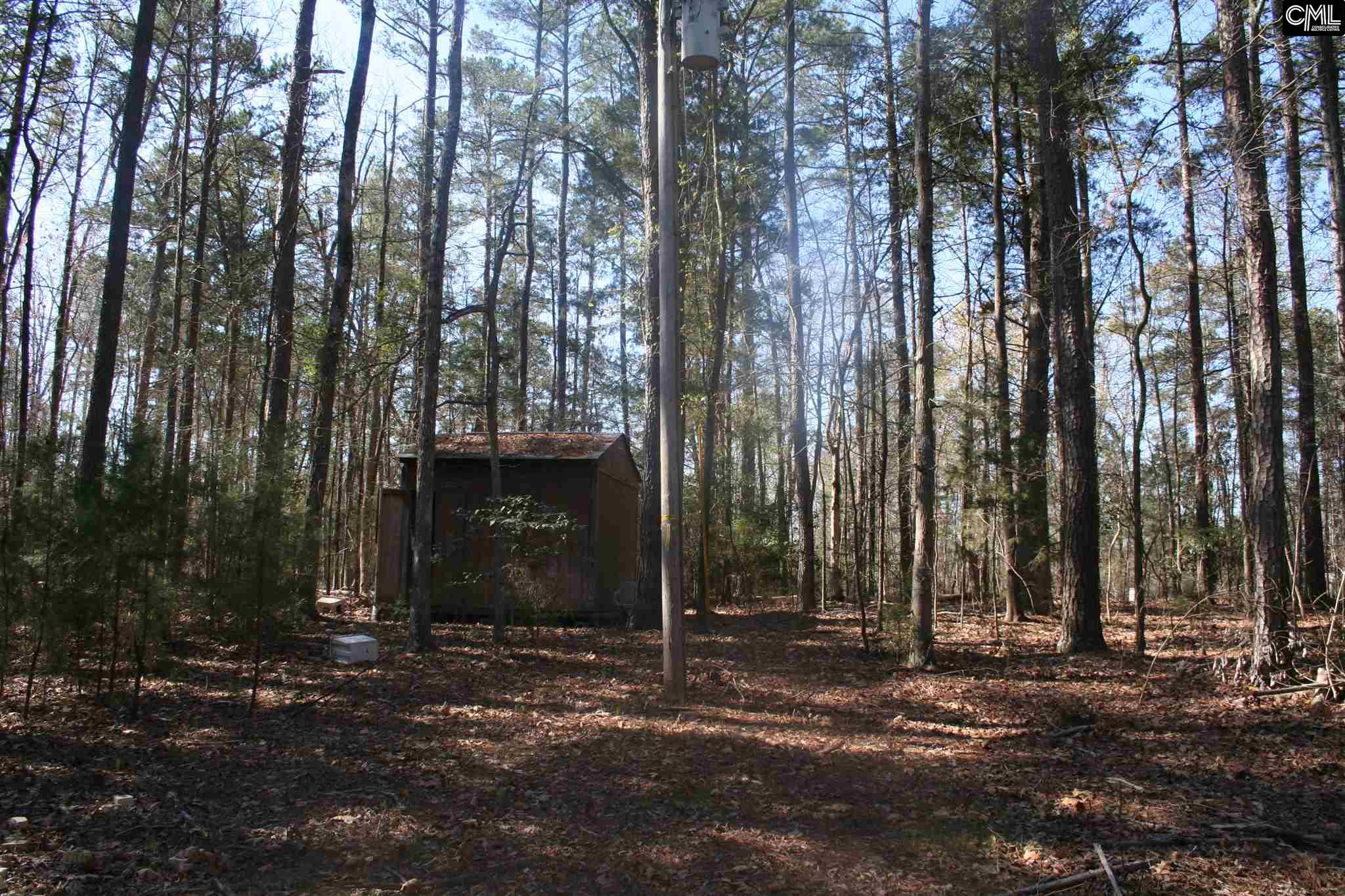 1001 Rock N Creek Road, Leesville, SC 29070