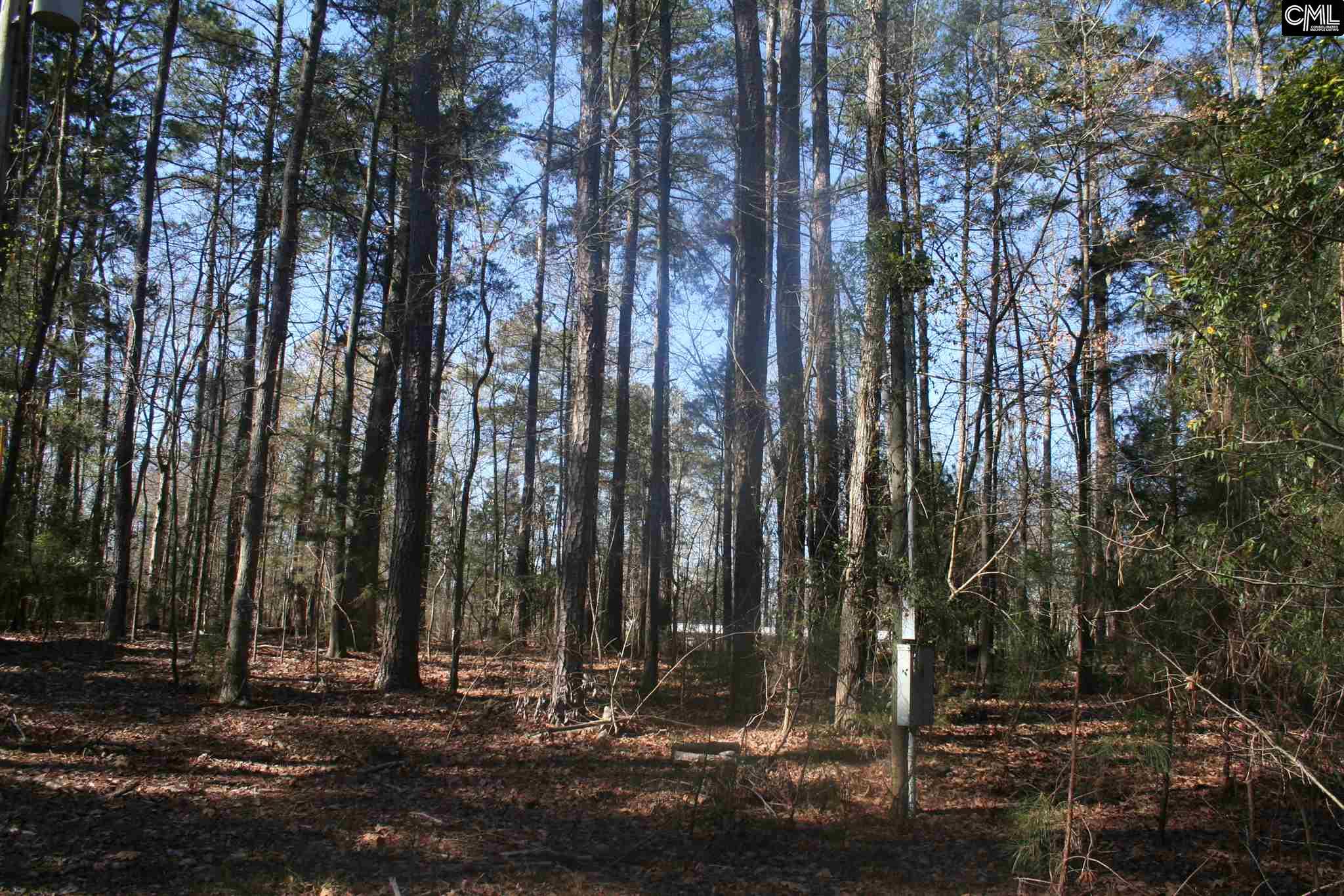 1001 Rock N Creek Road, Leesville, SC 29070