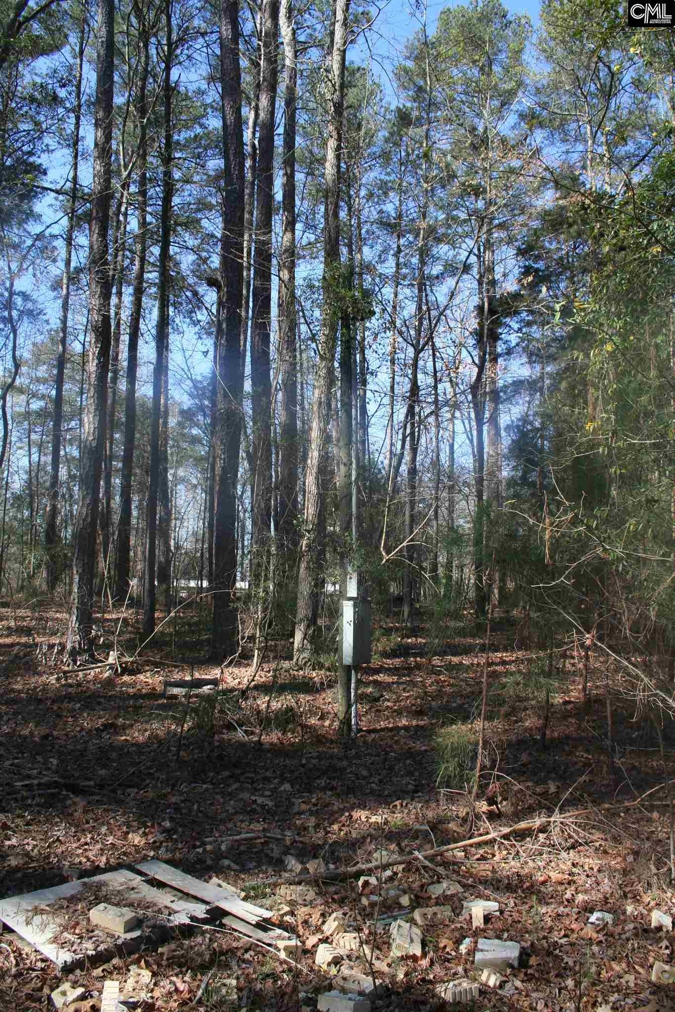1001 Rock N Creek Road, Leesville, SC 29070