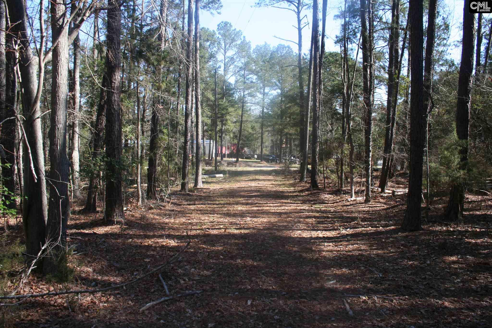 1001 Rock N Creek Road, Leesville, SC 29070