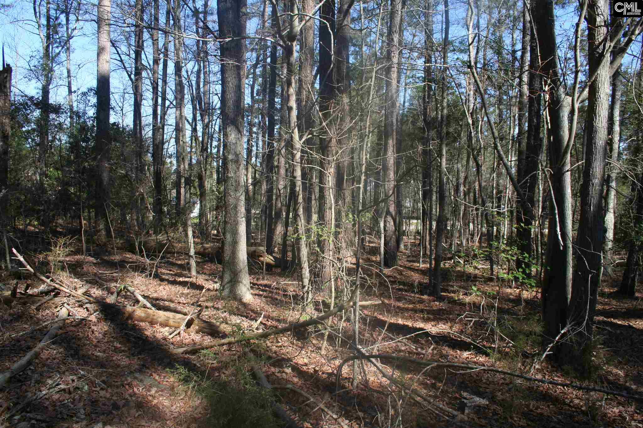 1001 Rock N Creek Road, Leesville, SC 29070