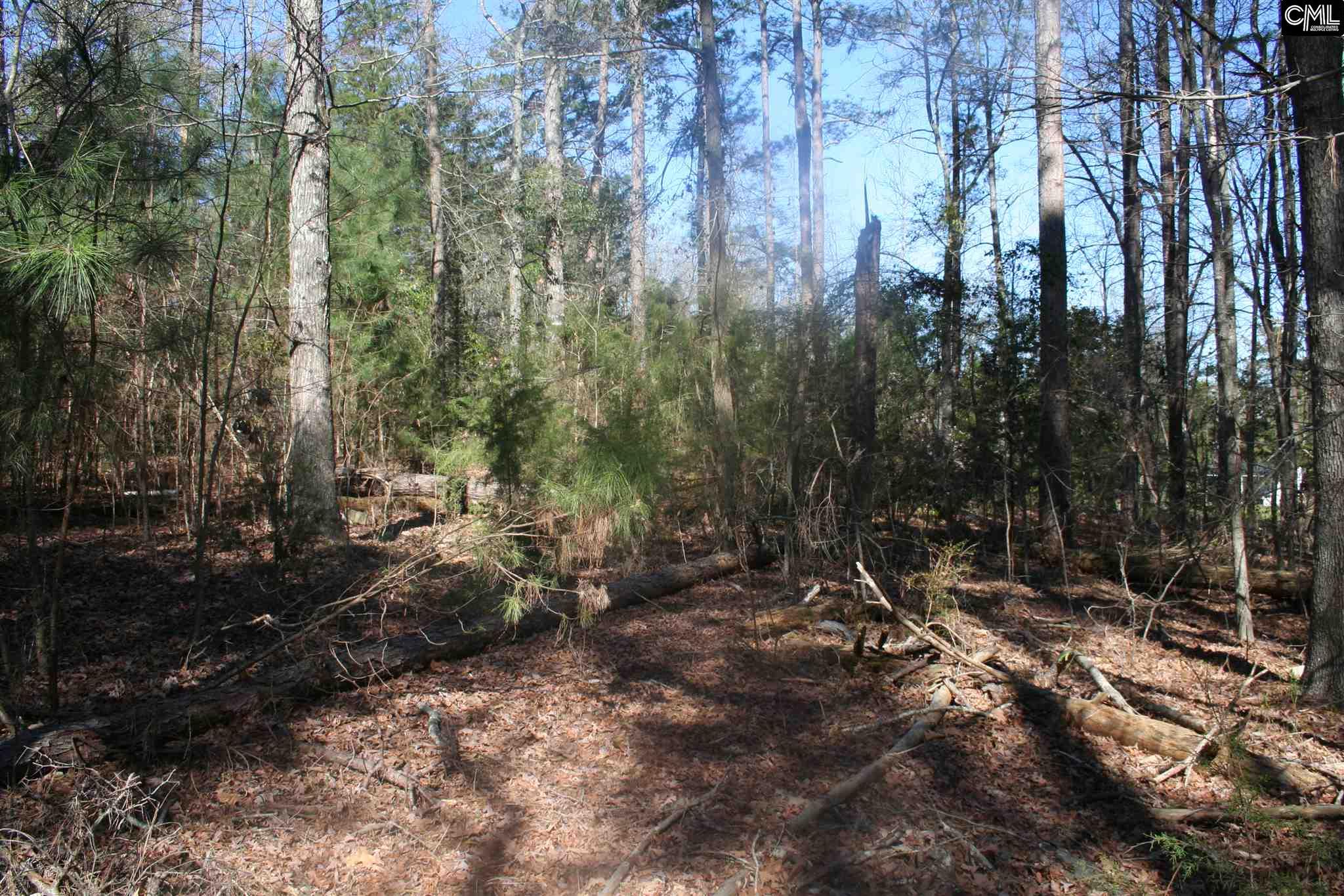 1001 Rock N Creek Road, Leesville, SC 29070