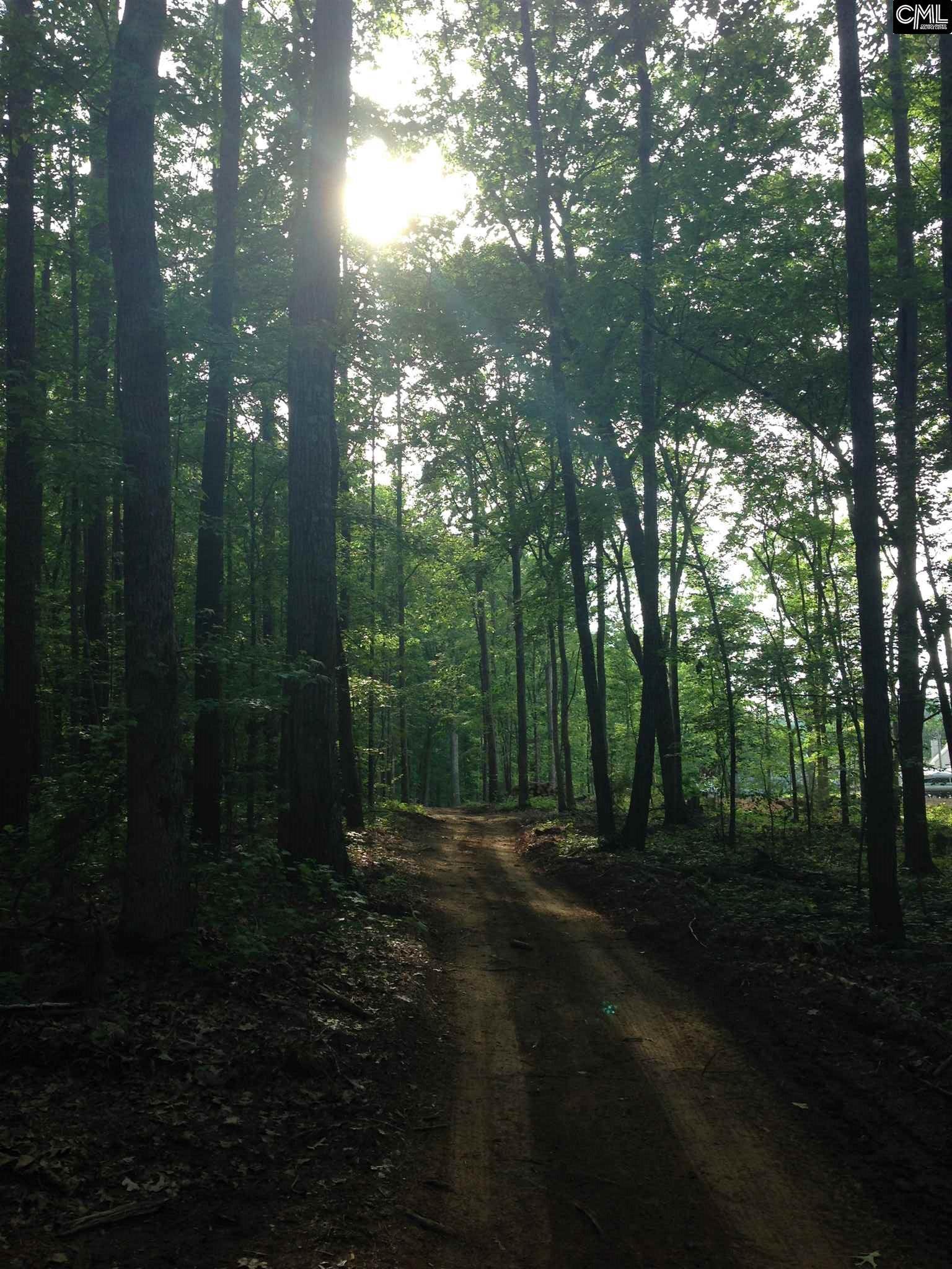 Saluda Waters Court, Leesville, SC 29070