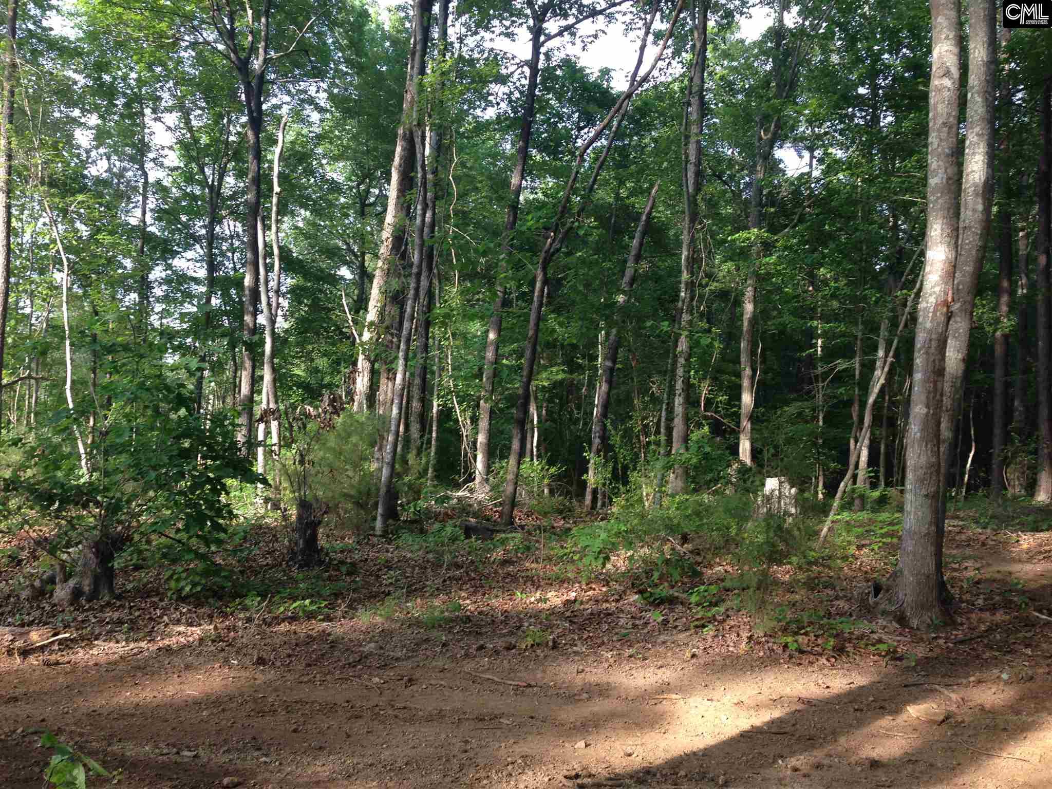 Saluda Waters Court, Leesville, SC 29070