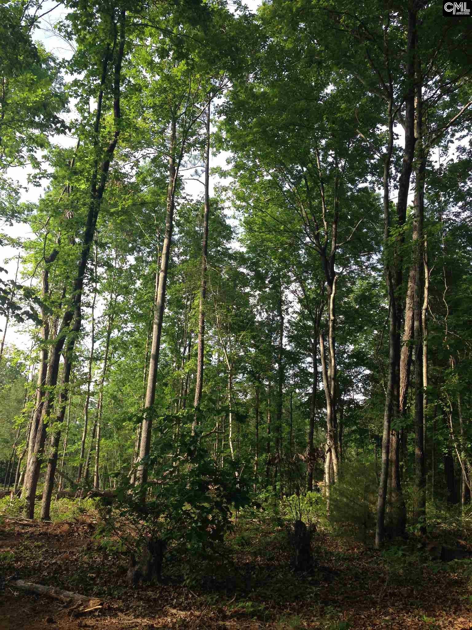 Saluda Waters Court, Leesville, SC 29070