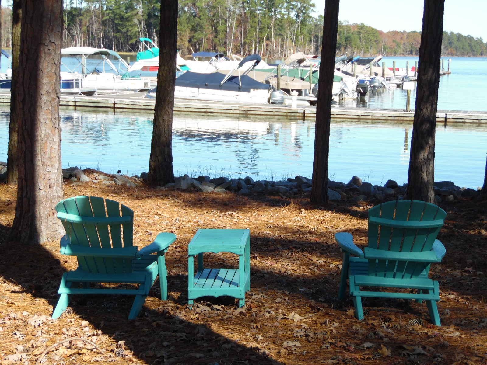 132 Windjammer Drive, Leesville, SC 29070