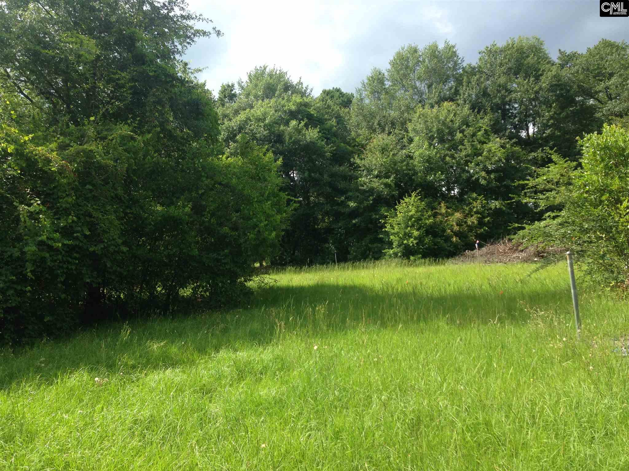 331 a Cedar Road, Lexington, SC 29073