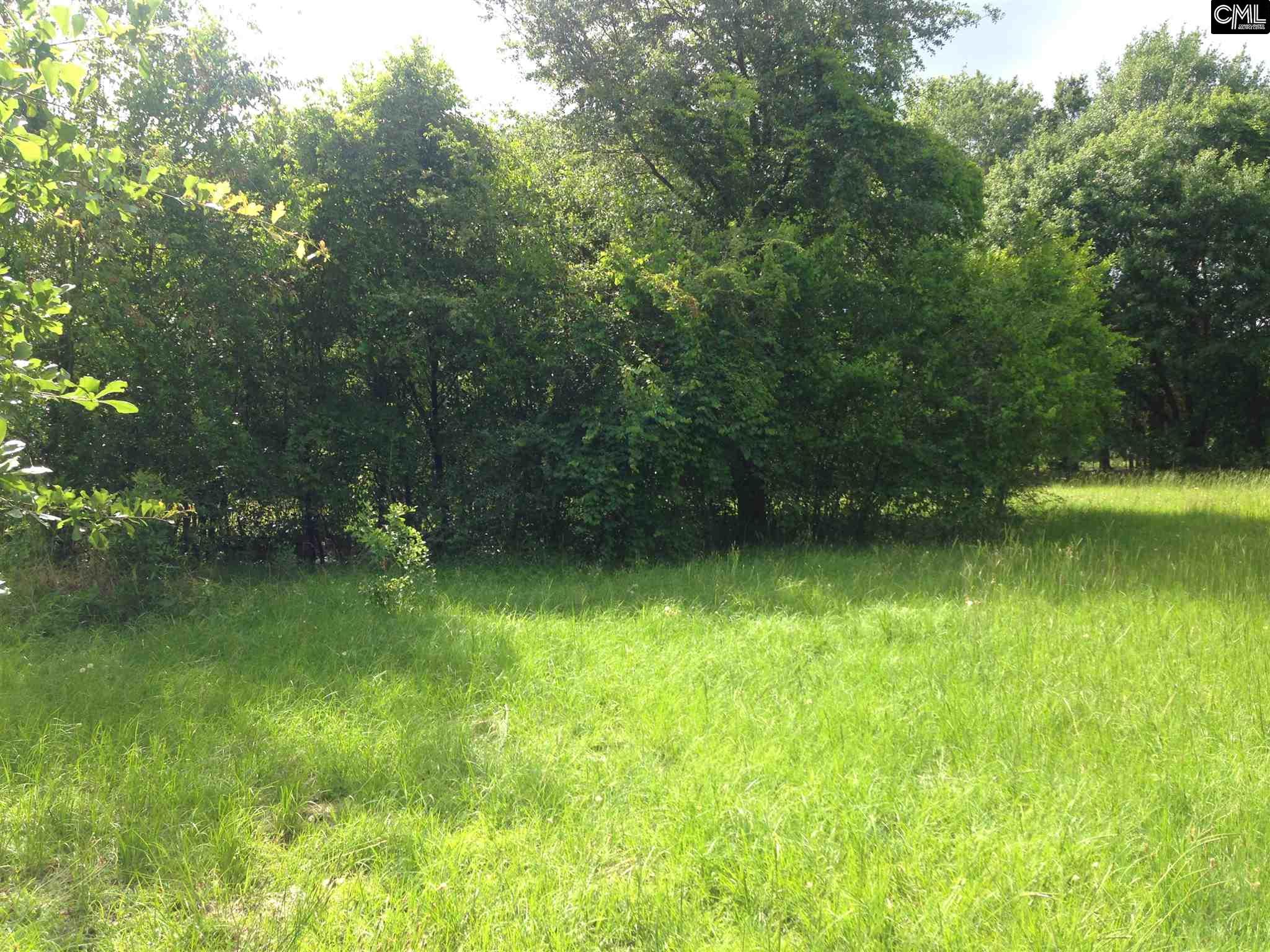 331 a Cedar Road, Lexington, SC 29073