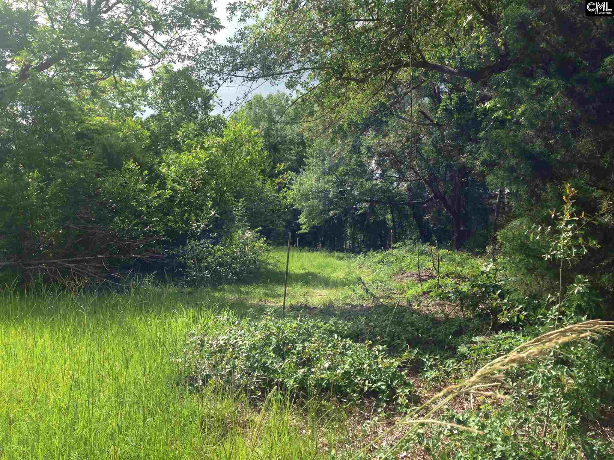 331 a Cedar Road, Lexington, SC 29073