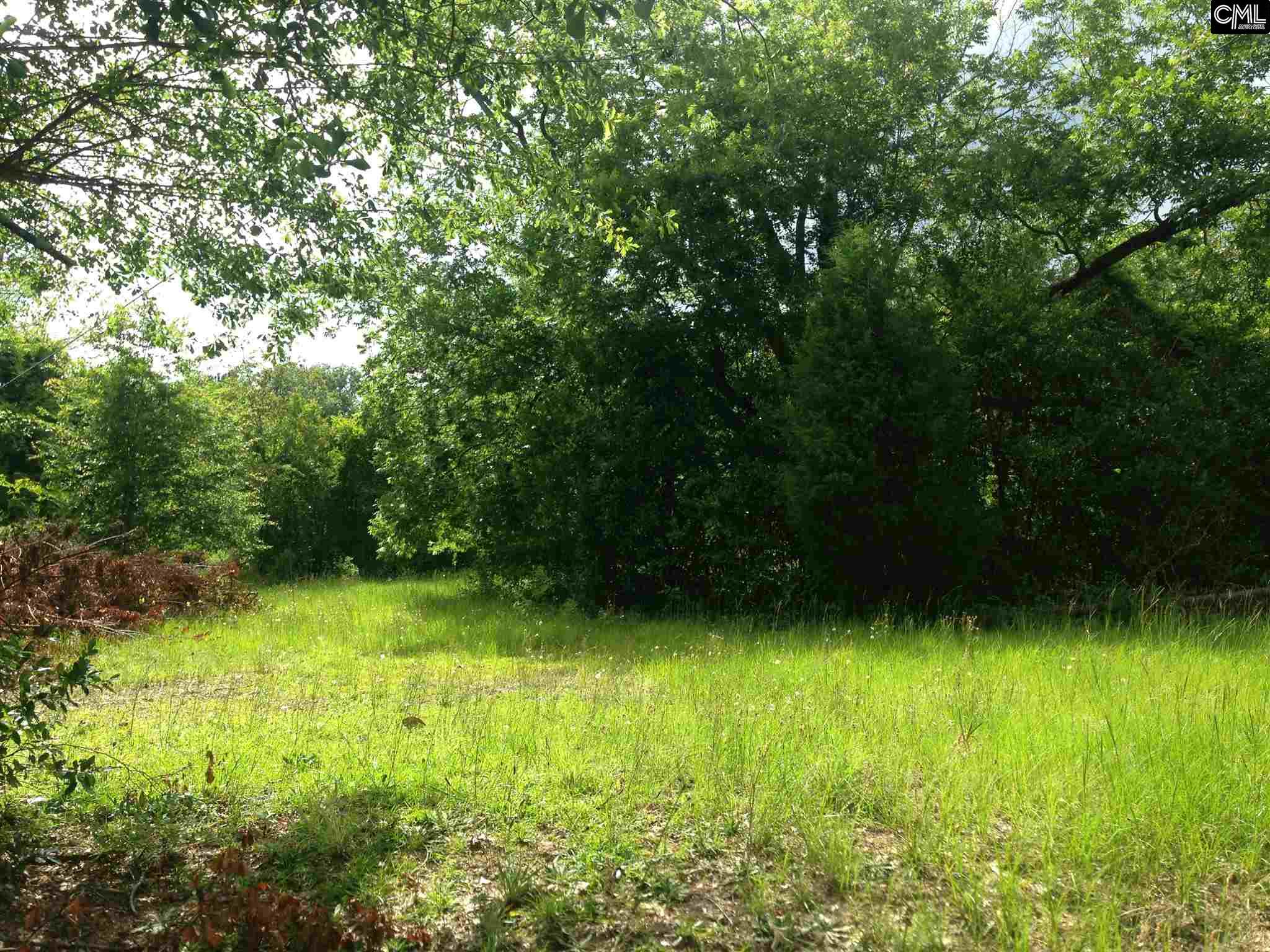 331 a Cedar Road, Lexington, SC 29073