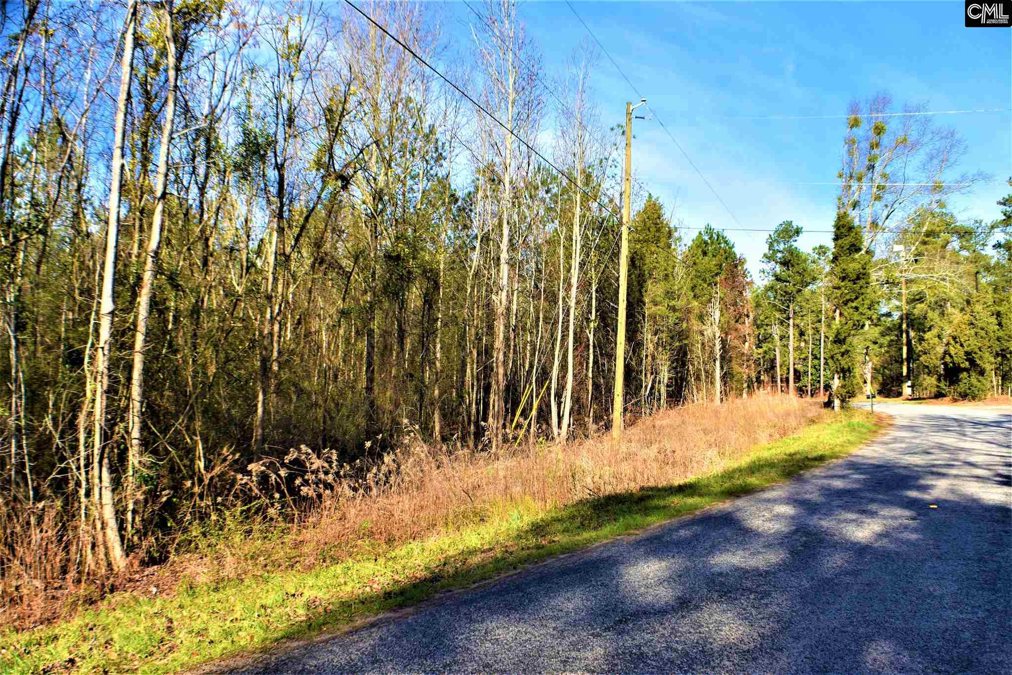0 Four Oaks Road, Little Mountain, SC 29075