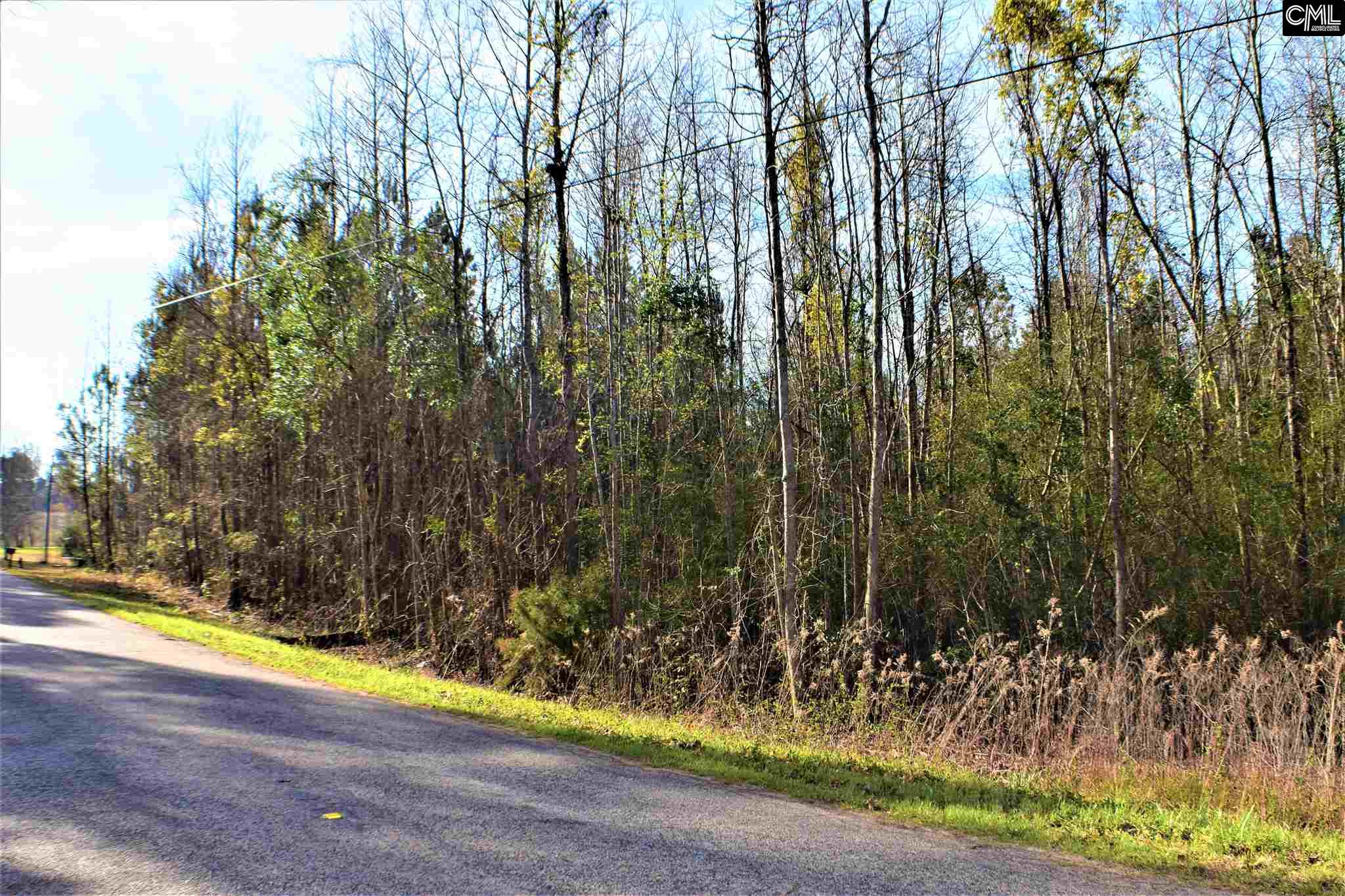 0 Four Oaks Road, Little Mountain, SC 29075