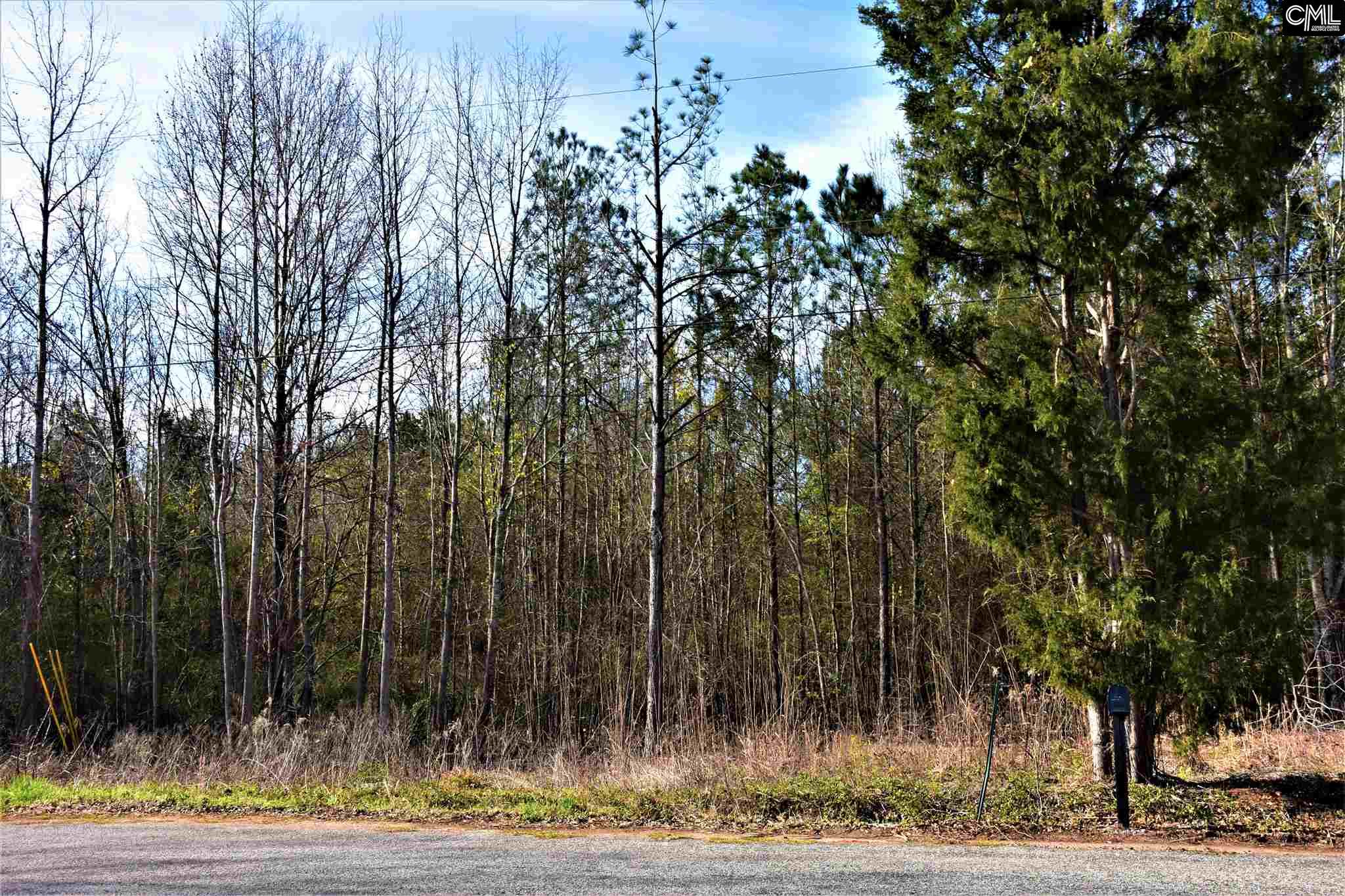 0 Four Oaks Road, Little Mountain, SC 29075