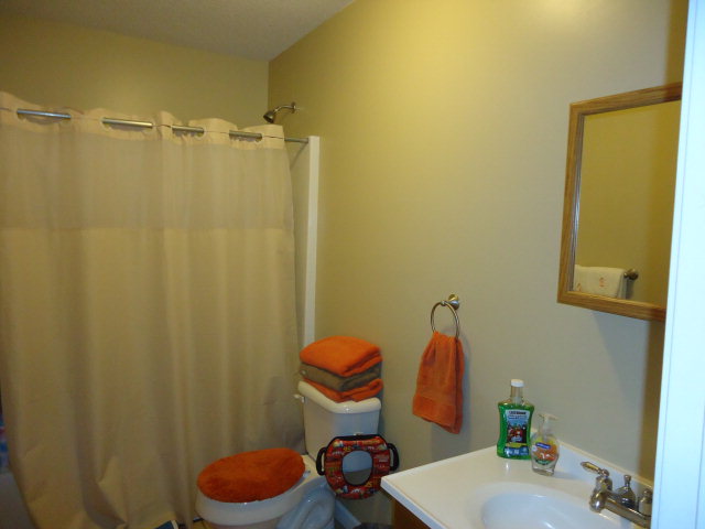 1101 JESSAMINE WAY, Manning, SC 29102