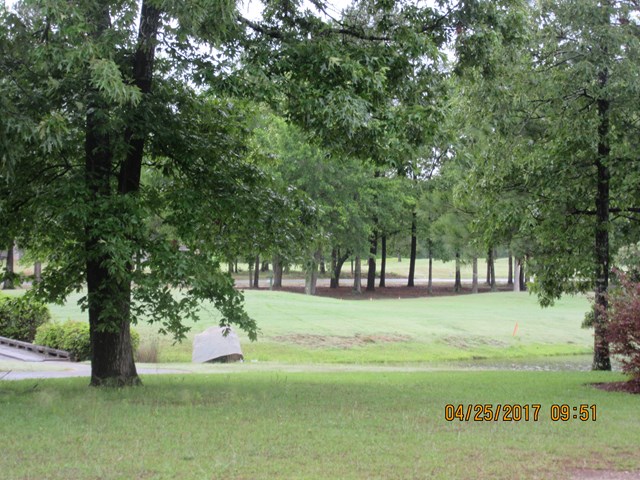 1073 BLUE HERON PT, Manning, SC 29102