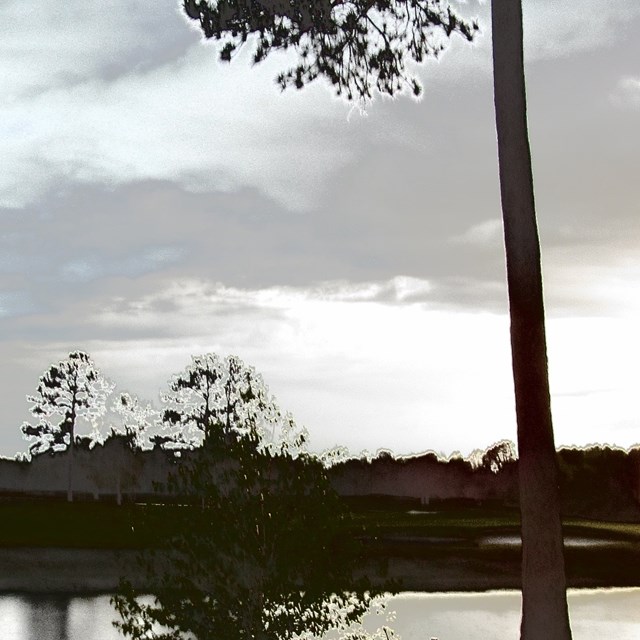 1073 BLUE HERON PT, Manning, SC 29102