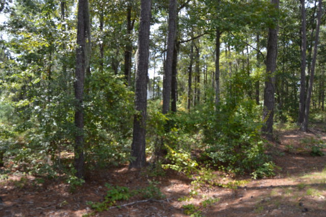 2 Patriot Road, Manning, SC 29102