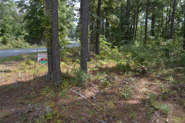 2 Patriot Road, Manning, SC 29102
