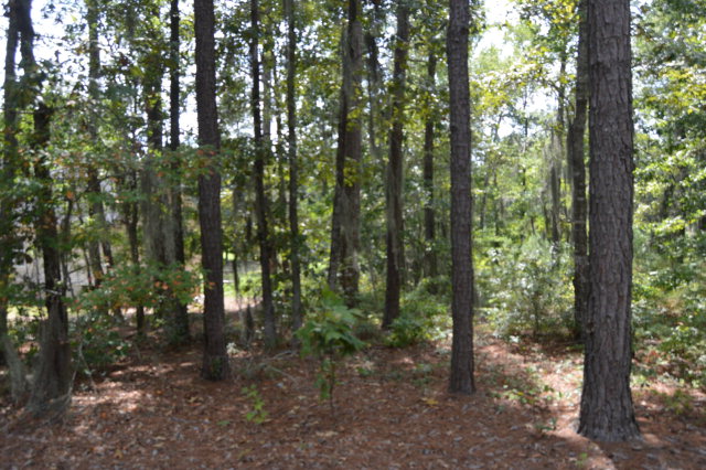 2 Patriot Road, Manning, SC 29102