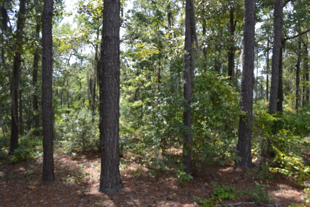 2 Patriot Road, Manning, SC 29102