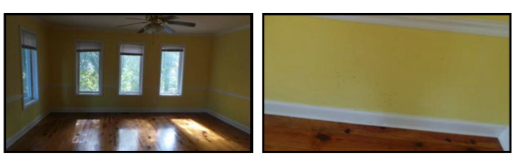 1524 Dunes StOrangeburg, SC, 29115Orangeburg County