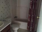 295 BANASHEE CIR ,SC, Orangeburg, 29115