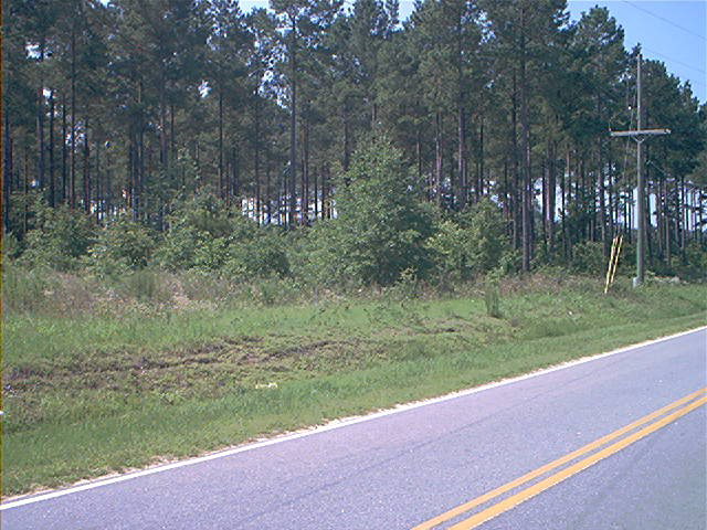 Limestone Road, Orangeburg, SC 29118
