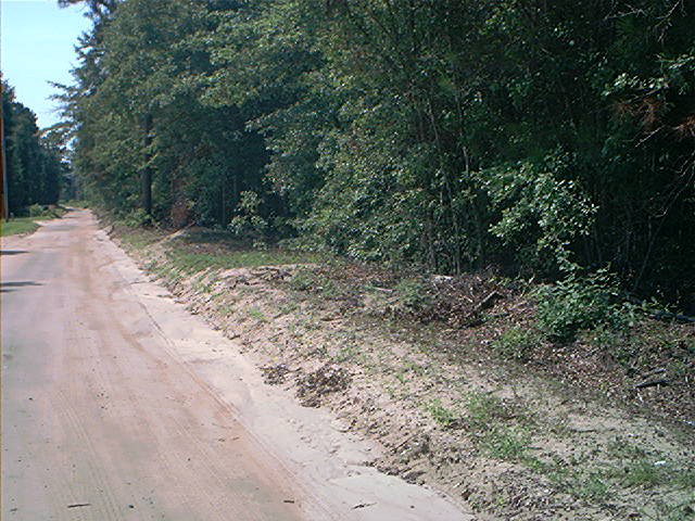Limestone Road, Orangeburg, SC 29118