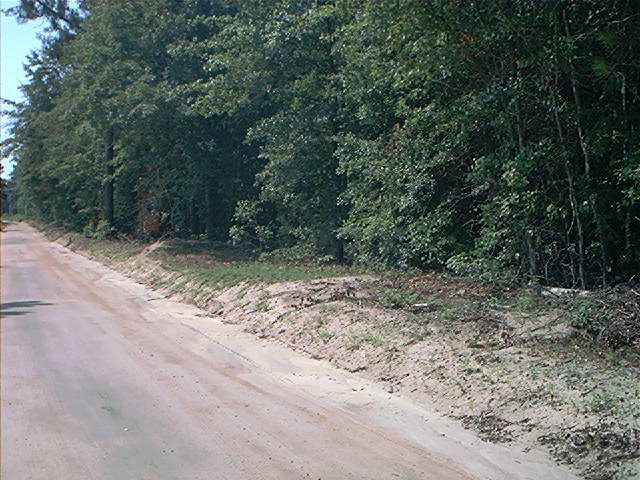 Limestone Road, Orangeburg, SC 29118