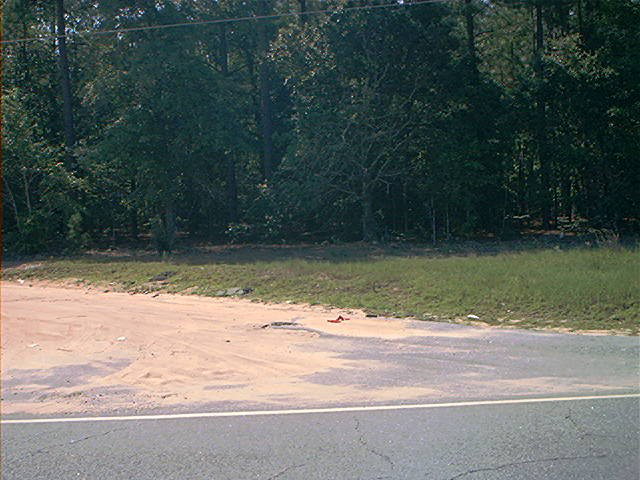 Limestone Road, Orangeburg, SC 29118