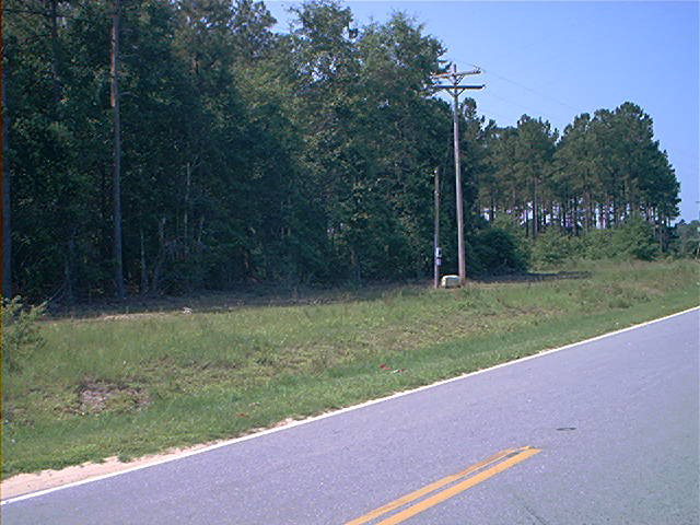 Limestone Road, Orangeburg, SC 29118