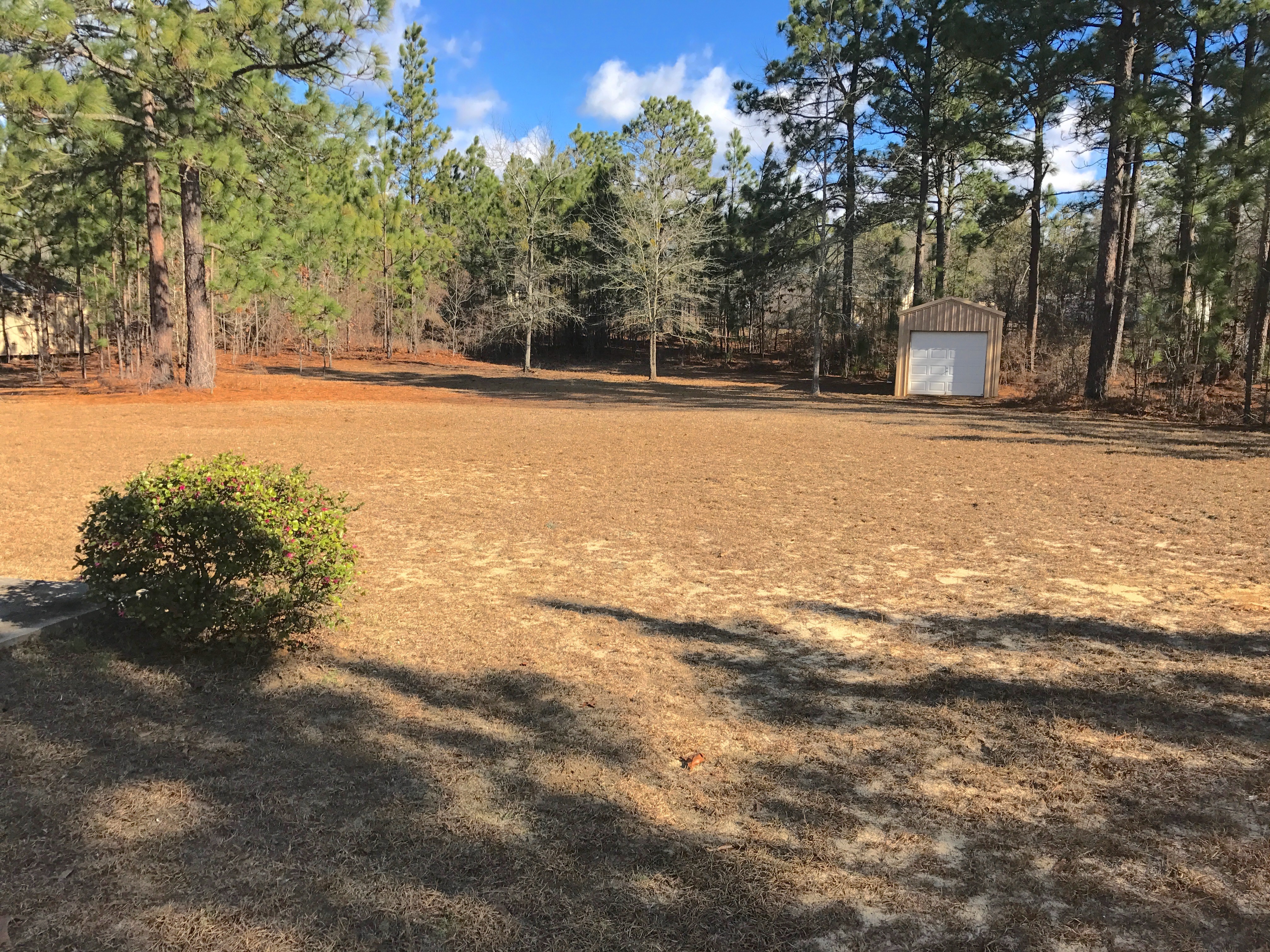 537 Clay Hill RdPelion, SC, 29123Lexington County